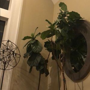 Meet your Posher, Edward